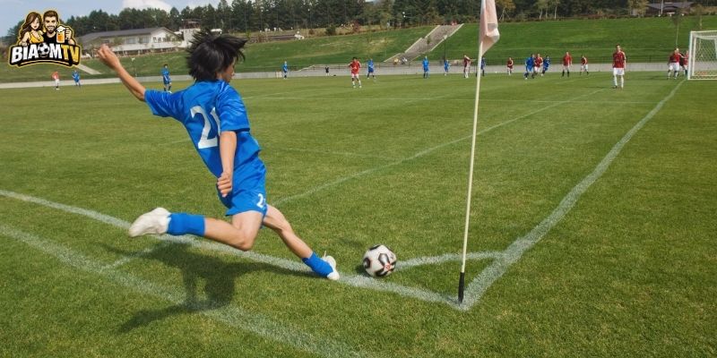 Ảnh hưởng từ mặt sân và thời tiết