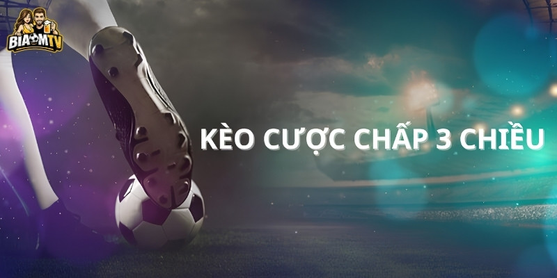 Tại sao dữ liệu tại Biaomtv là "kim chỉ nam" cho loại kèo này?
